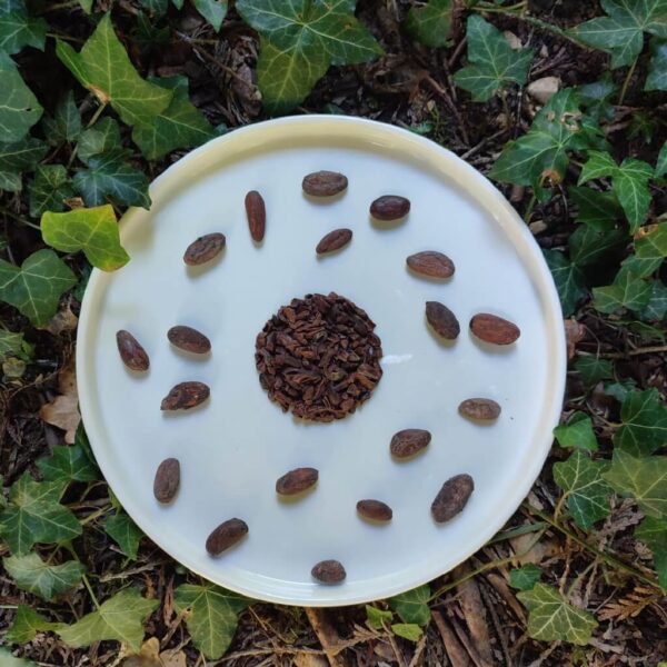 Grué de cacao pour infusion ou à grignoter – Image 3