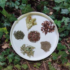 Écorces de cacao pour infusion : Anis vert, orange, menthe poivrée et tilleul - 100g