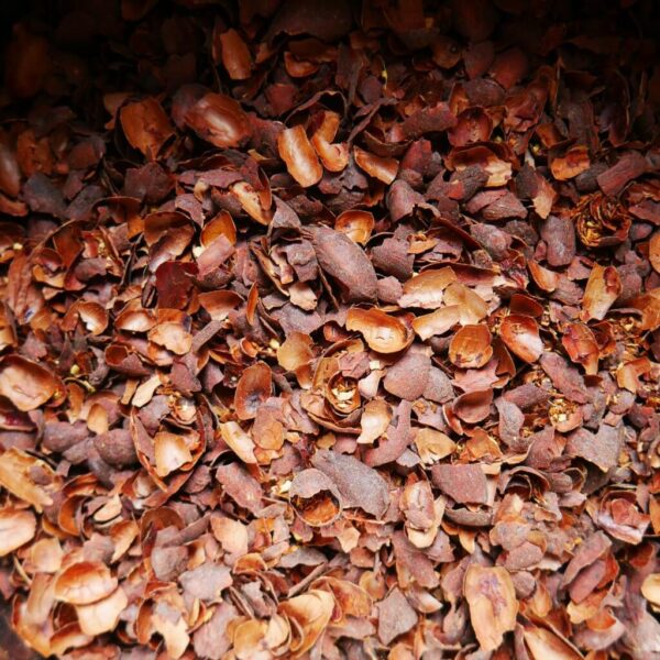 Écorces de cacao pour infusion : Rooibos, guarana et gingembre - 100g – Image 2