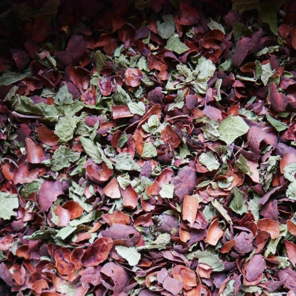 Écorces de cacao pour infusion : Menthe poivrée, cassis, thym commun et thym citronné - 100g – Image 2
