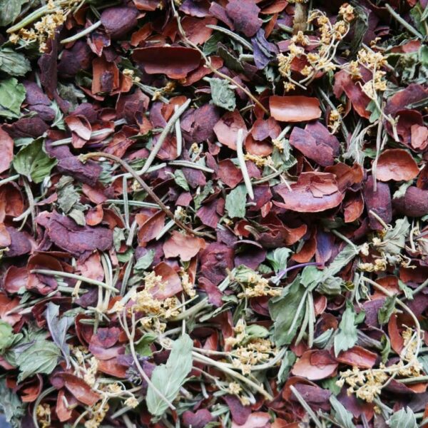 Écorces de cacao pour infusion : Menthe poivrée, romarin, sureau - 100g – Image 3