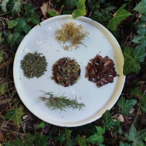 Écorces de cacao pour infusion : Menthe poivrée, romarin, sureau - 100g