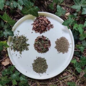 Écorces de cacao pour infusion : Menthe poivrée, cassis, thym commun et thym citronné - 100g