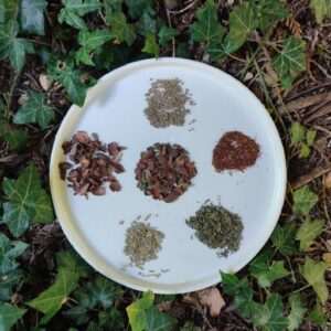 Écorces de cacao pour infusion : Anis vert, fenouil, menthe poivrée et rooibos - 100g