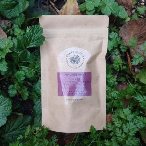 Palets de chocolat noir 85% de cacao - Cranberries et noix de pécan