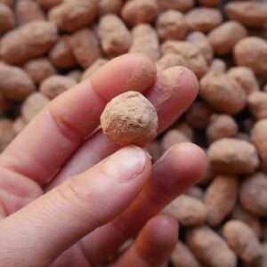 Les pépitrus - Fèves de cacao torréfiées, caramélisées, enrobées de chocolat noir 70% de cacao et de poudre de cacao